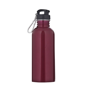 Garrafa Sport Mosquetão Water To Go 750ml  Mor