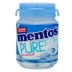 Pote fresh mint 56g Mentos 