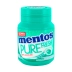 Pote fresh wintergreen 56g Mentos