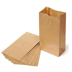 Saco de papel kraft RJ 80gr 1kg com 250 unidades